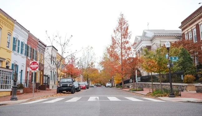 Brick rowhouses on a tree-lined street
