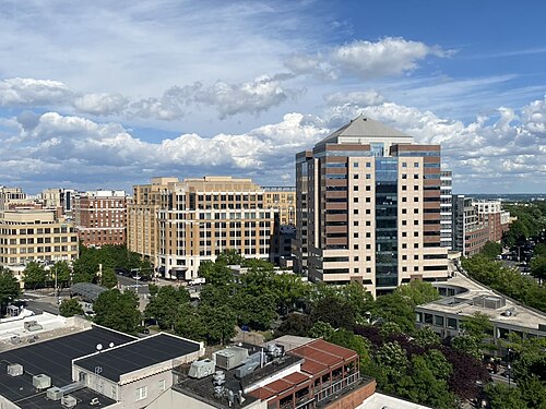 Clarendon Virginia