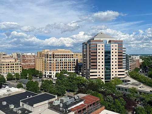 Clarendon Virginia