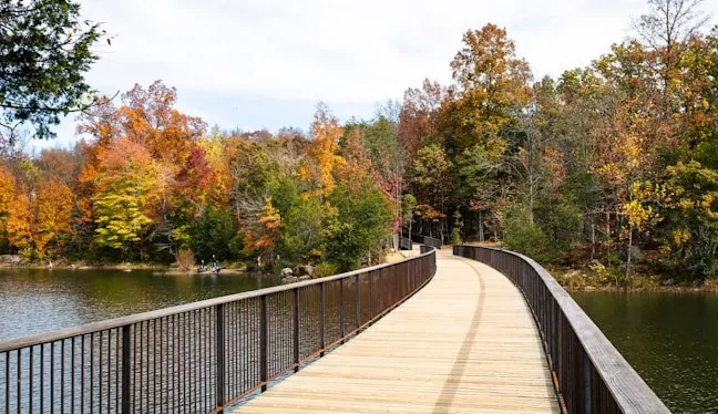Wooden footbridge on a calm lakeside trail