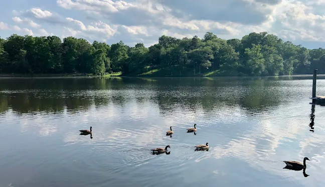Reston Virginia