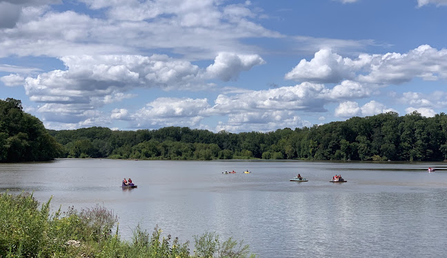 Springfield Virginia